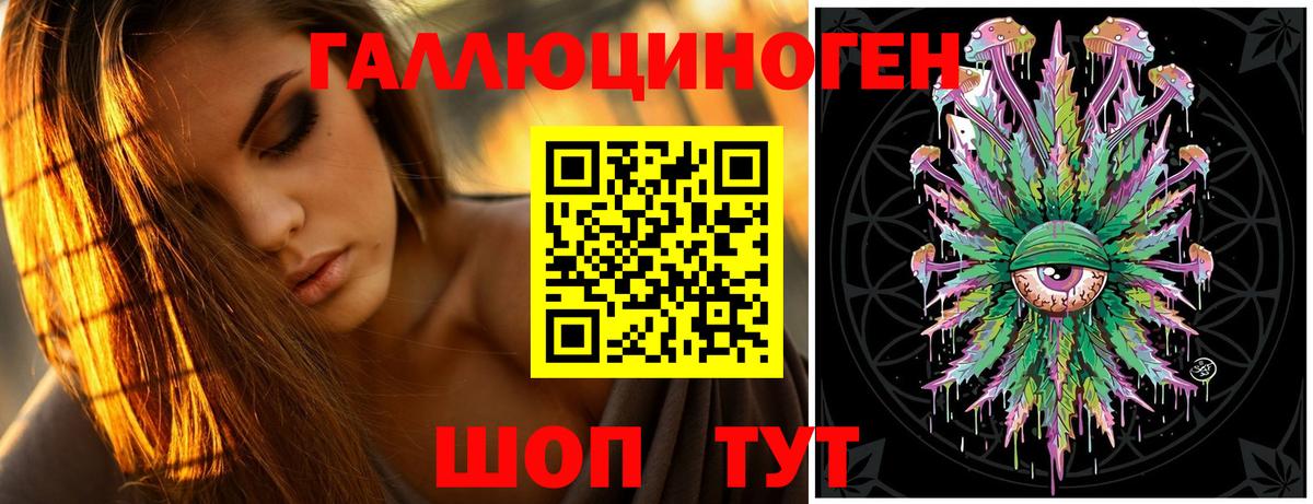 Псилоцибиновые грибы Psilocybine cubensis Калач-на-Дону