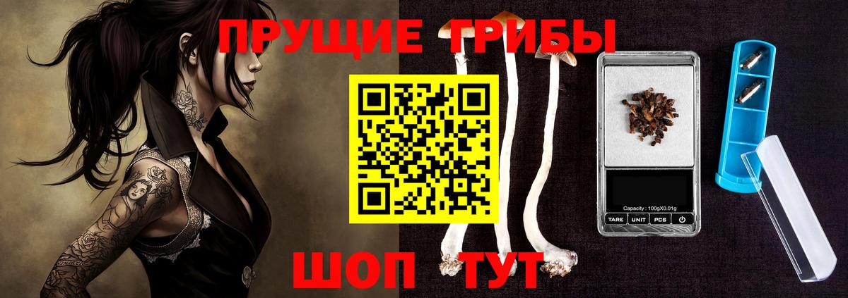 Калач-на-Дону  Псилоцибиновые грибы ЛСД  Вход с VPN  купить закладку  Галлюциногенные грибы Psilocybe 